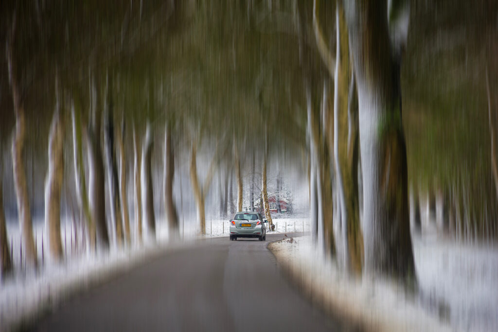 Homeward bound - CARO SMITH